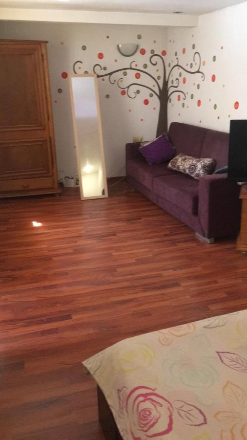 Fantasy Residence Brasov Luaran gambar